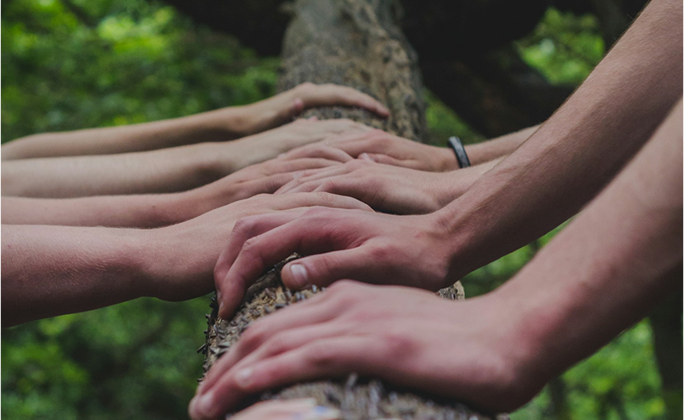 Environment Commitment Who we are